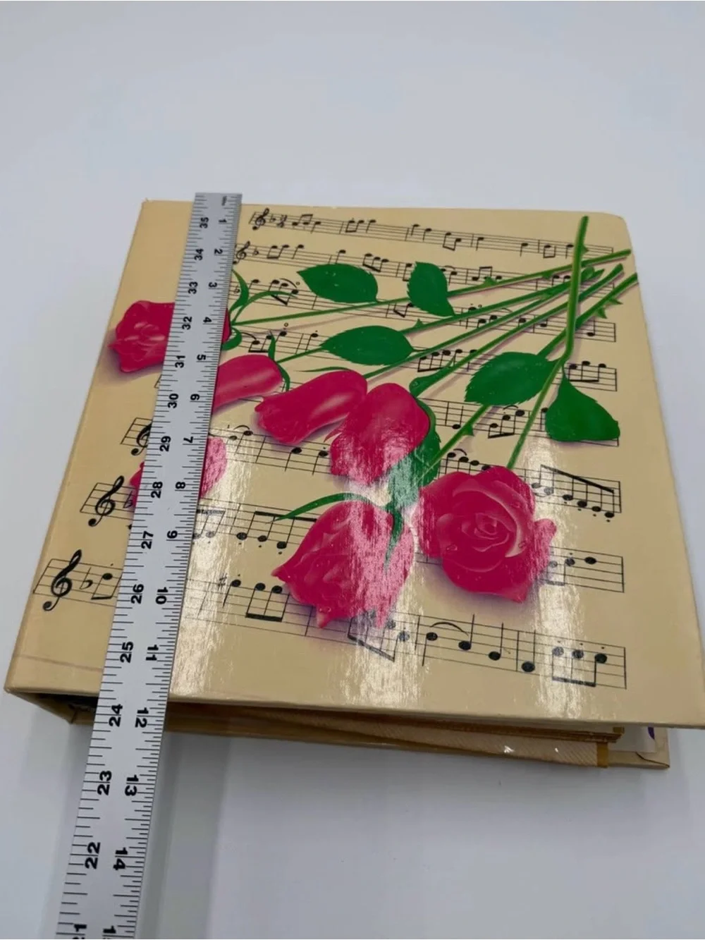 Vintage 1988 Lisa Frank RARE 3 Ring Binder Photo Album Pink Roses Music Notes